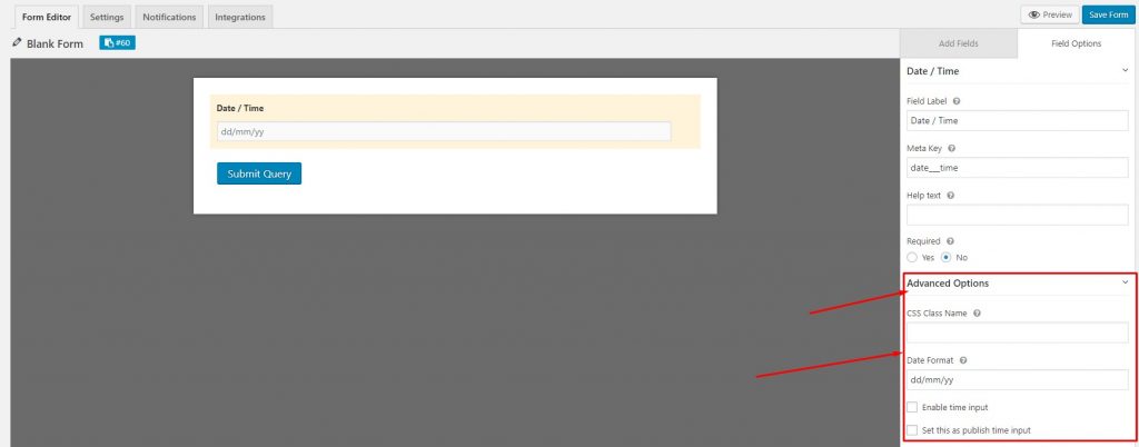 Advanced field options for WordPress form date-time field