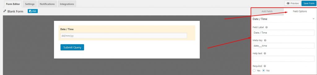 Field options for WordPress form date-time field